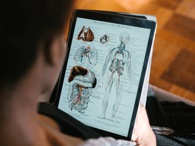 반영구화장 교육 해부학